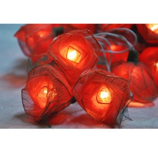 Orange Rose String Lights